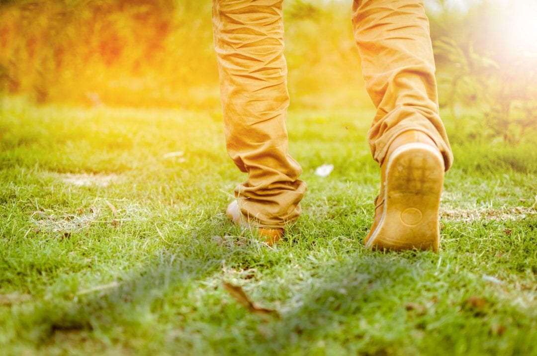 30 Day Blogging With Students Teacher Challenge -- Free self-paced course by Edublogs