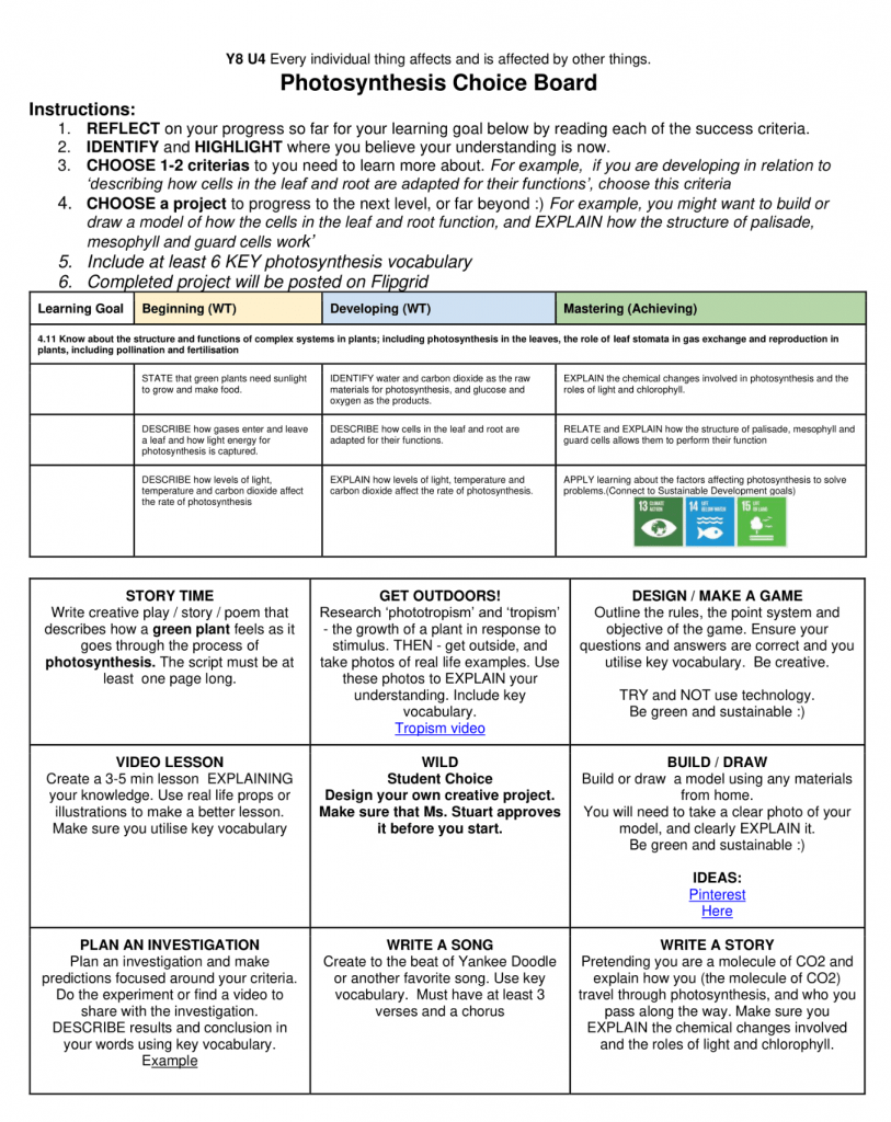 Photosynthesis Choice Board worksheet from Kim in Seoul
