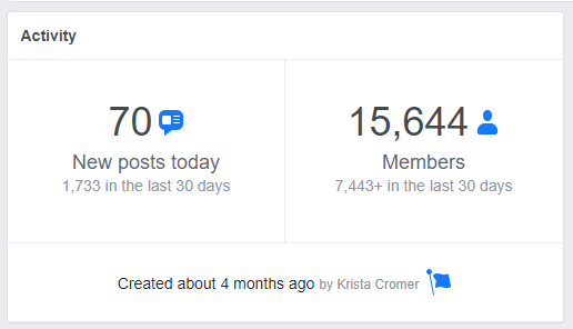 Screenshot of Activity information on a Facebook group